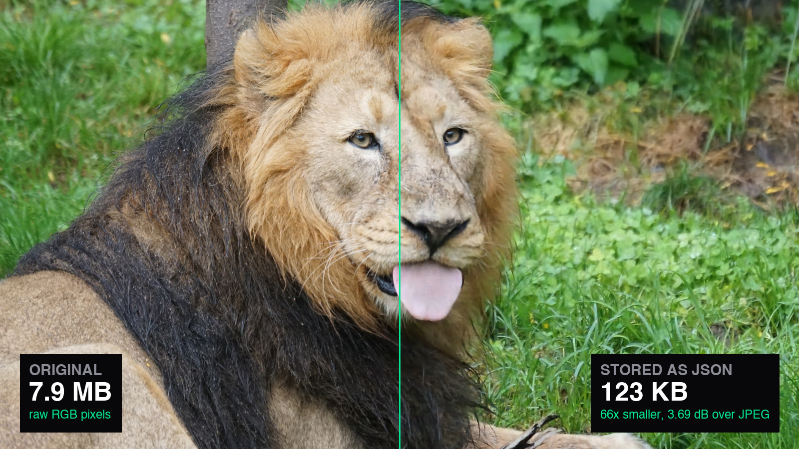 json-camera: A Photograph Stored as Text